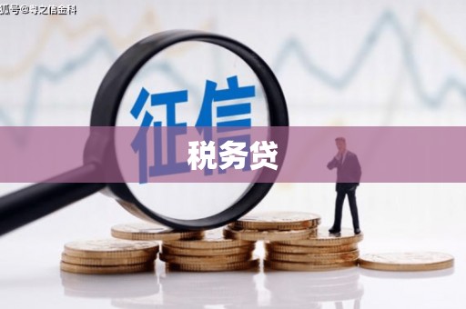 沙溪税务贷