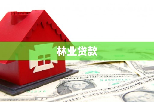 沙溪林业贷款