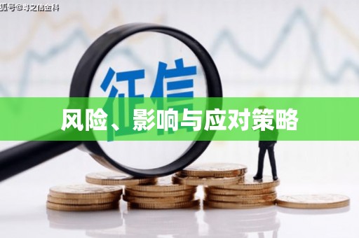 沙溪风险、影响与应对策略