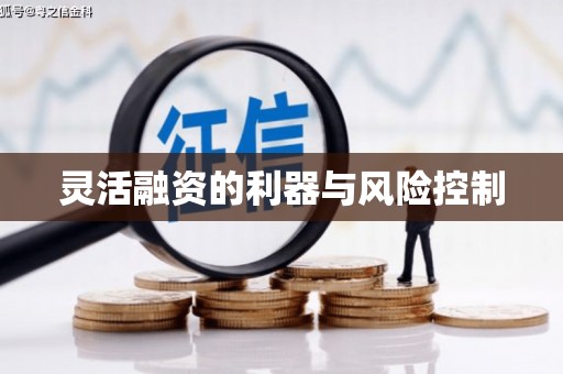 沙溪灵活融资的利器与风险控制