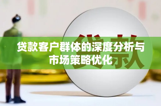沙溪贷款客户群体的深度分析与市场策略优化