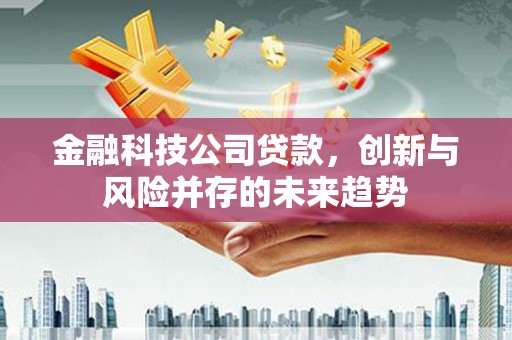 沙溪金融科技公司贷款，创新与风险并存的未来趋势