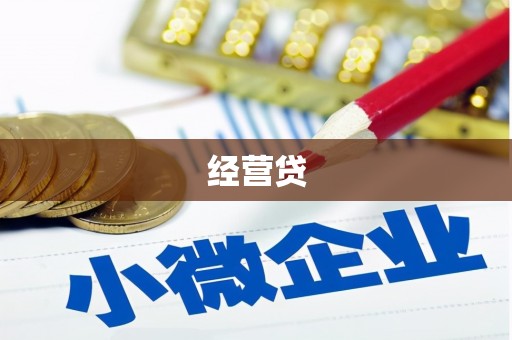 沙溪经营贷