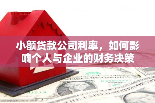 沙溪小额贷款公司利率，如何影响个人与企业的财务决策