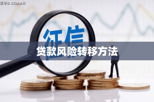 沙溪贷款风险转移方法