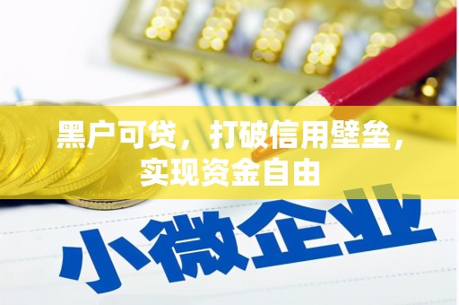 沙溪黑户可贷，打破信用壁垒，实现资金自由