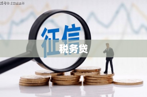 沙溪税务贷