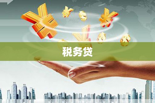 沙溪税务贷