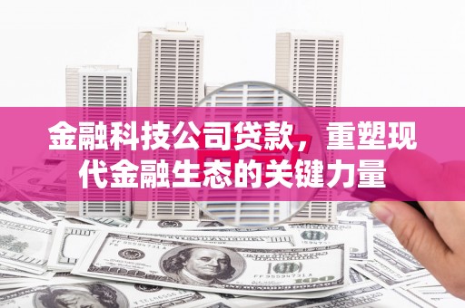 沙溪金融科技公司贷款，重塑现代金融生态的关键力量