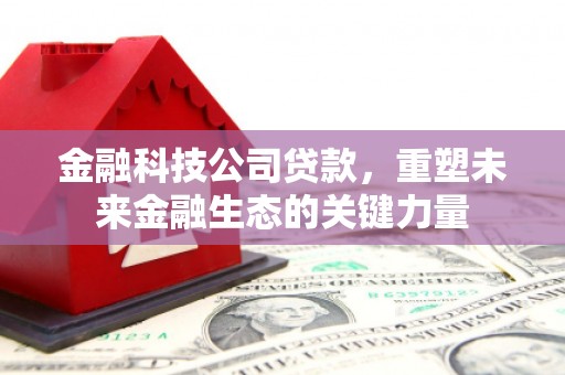 沙溪金融科技公司贷款，重塑未来金融生态的关键力量