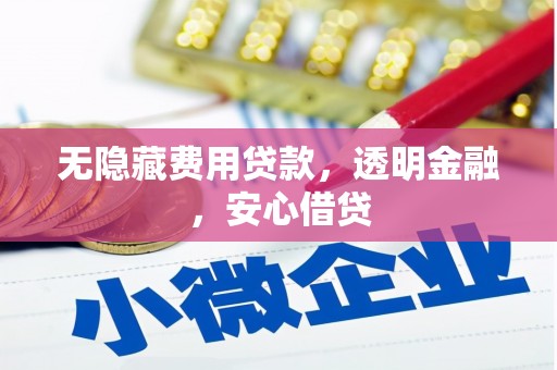 沙溪无隐藏费用贷款，透明金融，安心借贷