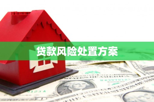 沙溪贷款风险处置方案