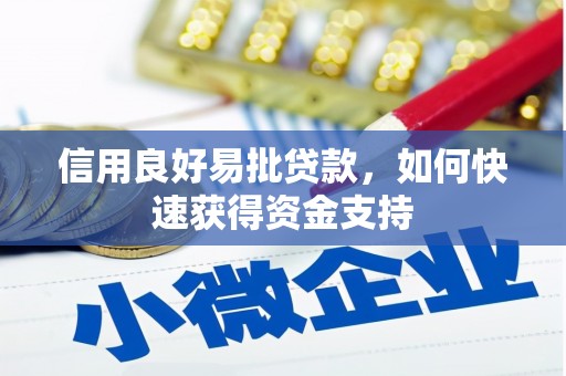沙溪信用良好易批贷款，如何快速获得资金支持