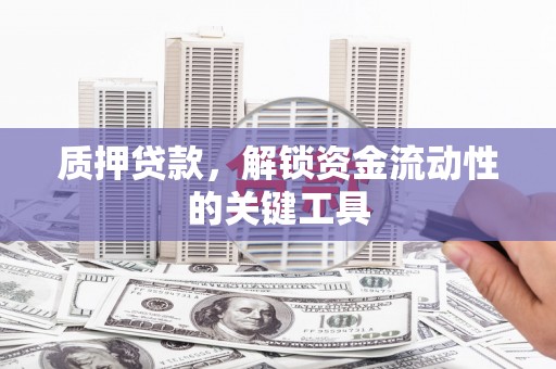 沙溪质押贷款，解锁资金流动性的关键工具