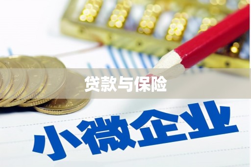 沙溪贷款与保险