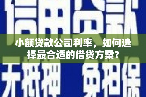 沙溪小额贷款公司利率，如何选择最合适的借贷方案？