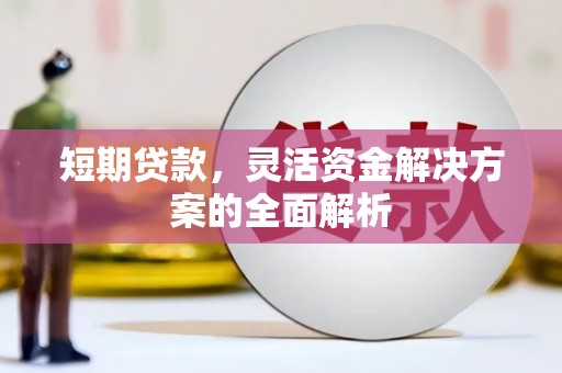 沙溪短期贷款，灵活资金解决方案的全面解析