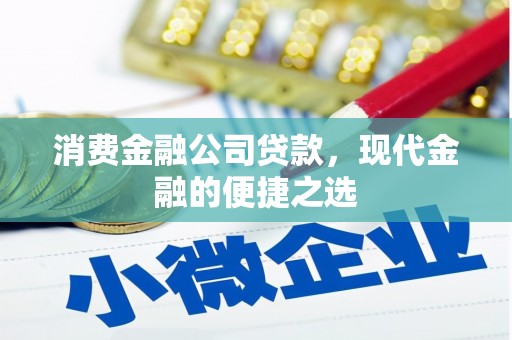 沙溪消费金融公司贷款，现代金融的便捷之选