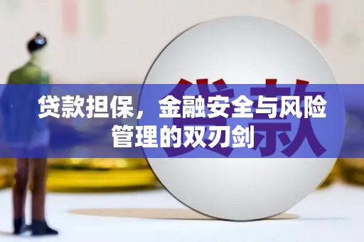 沙溪贷款担保，金融安全与风险管理的双刃剑