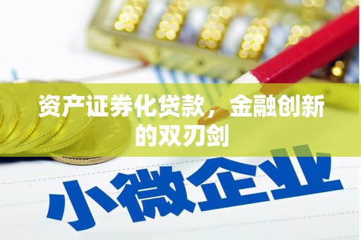 沙溪资产证券化贷款，金融创新的双刃剑
