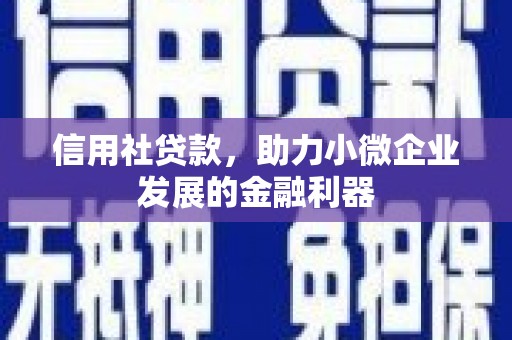 沙溪信用社贷款，助力小微企业发展的金融利器
