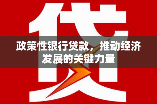 沙溪政策性银行贷款，推动经济发展的关键力量