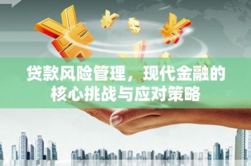 沙溪贷款风险管理，现代金融的核心挑战与应对策略