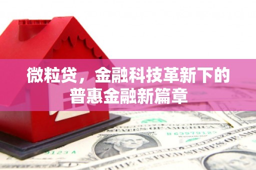 沙溪微粒贷，金融科技革新下的普惠金融新篇章