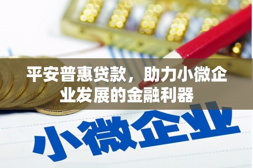 沙溪平安普惠贷款，助力小微企业发展的金融利器