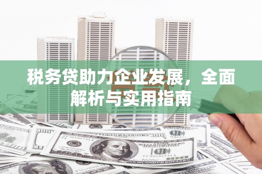 沙溪税务贷助力企业发展，全面解析与实用指南
