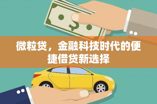 沙溪微粒贷，金融科技时代的便捷借贷新选择