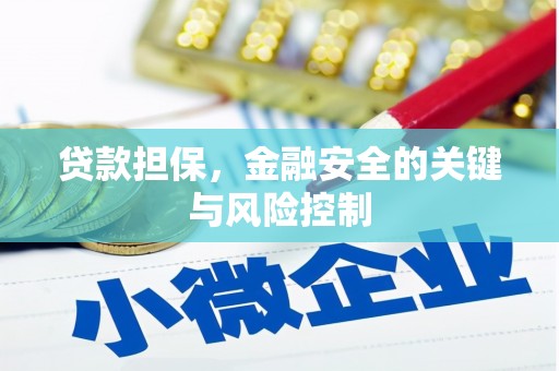 沙溪贷款担保，金融安全的关键与风险控制