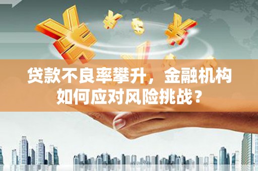 沙溪贷款不良率攀升，金融机构如何应对风险挑战？