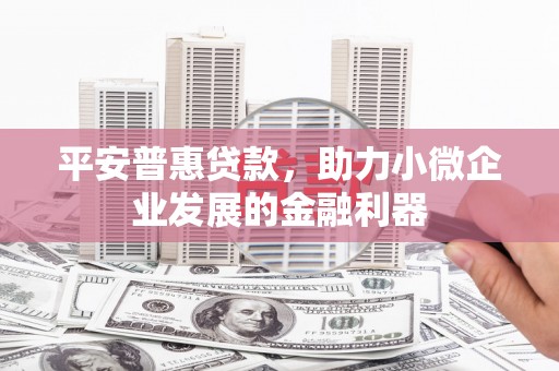沙溪平安普惠贷款，助力小微企业发展的金融利器
