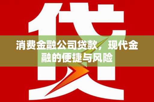 沙溪消费金融公司贷款，现代金融的便捷与风险