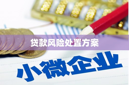 沙溪贷款风险处置方案