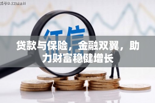 沙溪贷款与保险，金融双翼，助力财富稳健增长