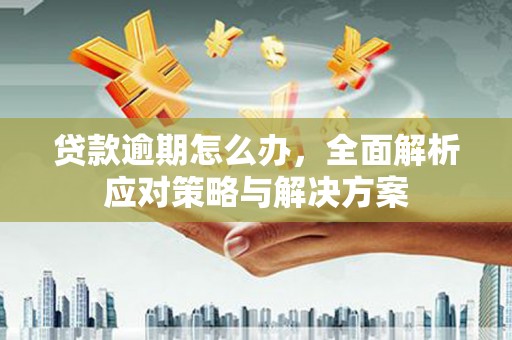 沙溪贷款逾期怎么办，全面解析应对策略与解决方案
