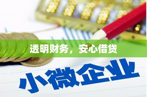 沙溪透明财务，安心借贷