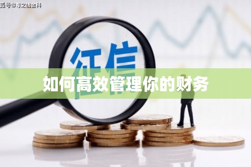 沙溪如何高效管理你的财务