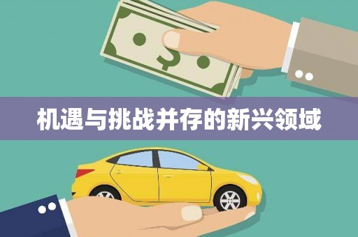 沙溪机遇与挑战并存的新兴领域