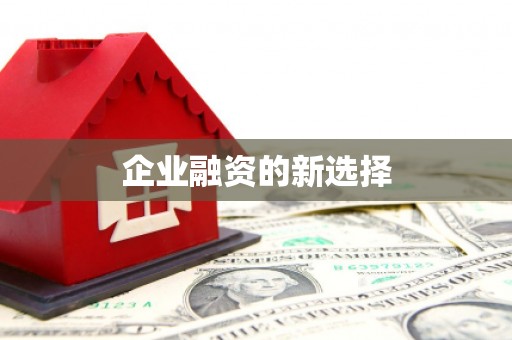 沙溪企业融资的新选择